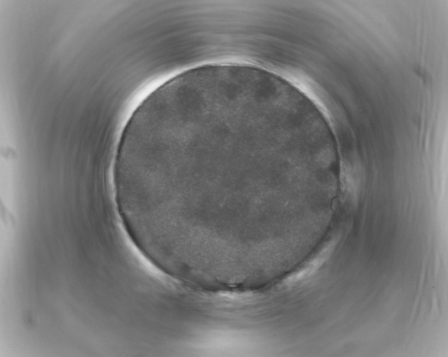 X0000091330959200708101423