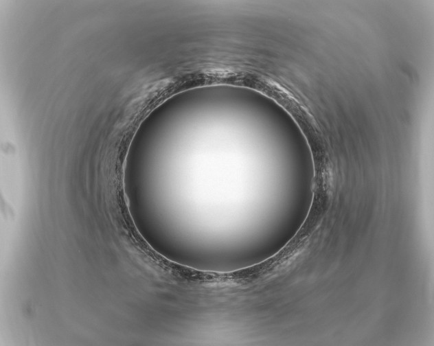 X0000091330961200708101423
