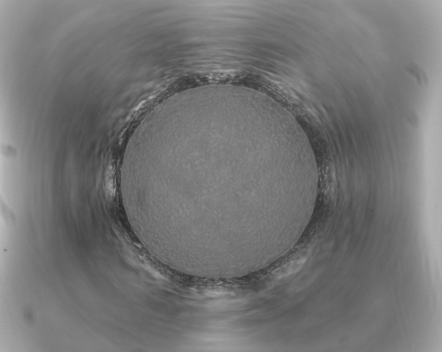 X0000091330962200708101423
