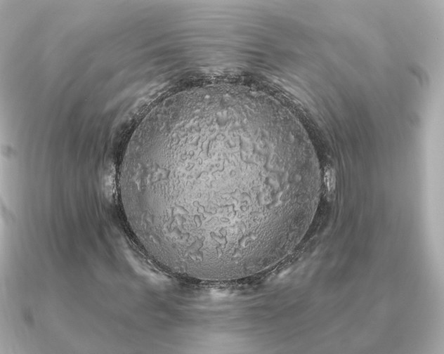X0000091330963200708101423