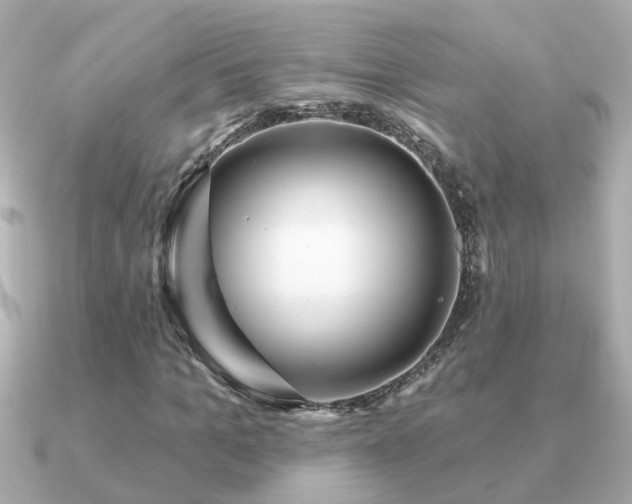 X0000091330965200708101423
