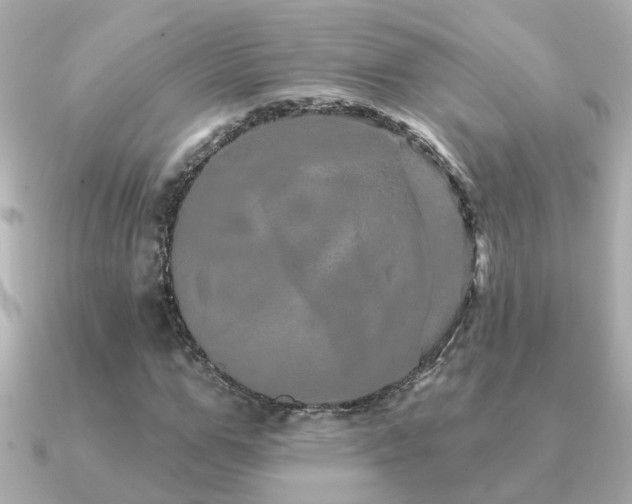 X0000091330967200708101423