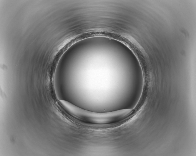 X0000091330969200708101423