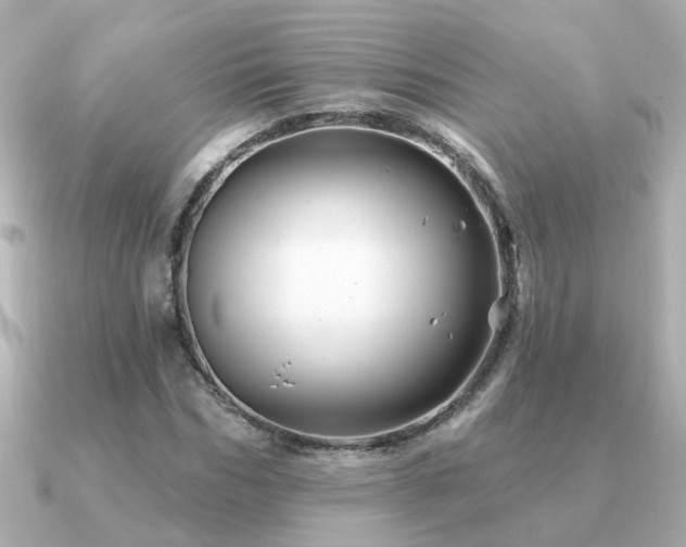 X0000091330970200708101423
