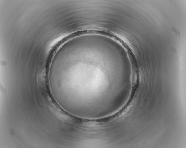X0000091330971200708101423