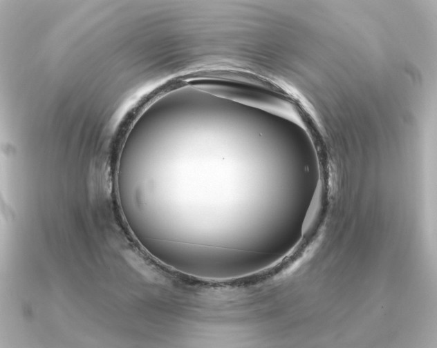 X0000091330973200708101423