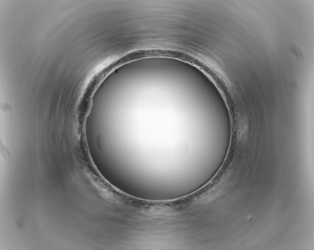 X0000091330974200708101423