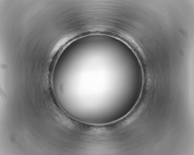 X0000091330978200708101423
