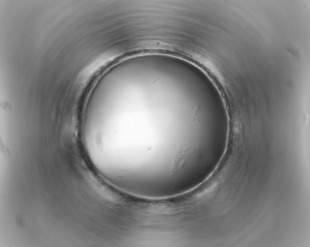 X0000091330979200708101423