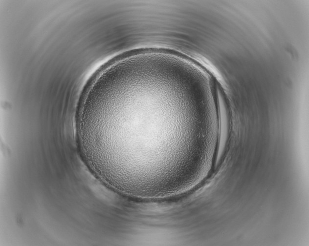 X0000091330980200708101423
