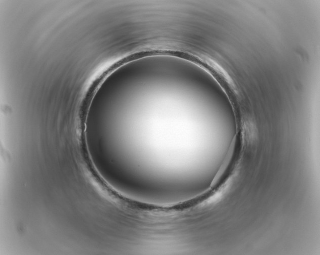 X0000091330981200708101423