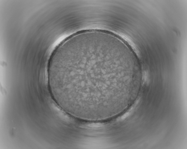 X0000091330982200708101423