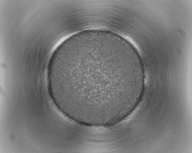 X0000091330983200708101423