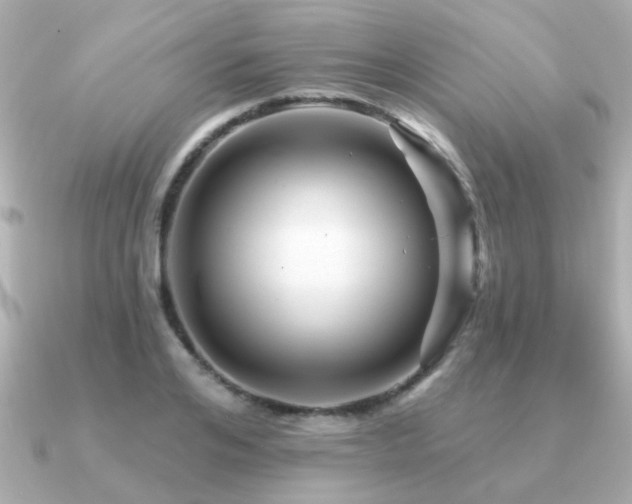 X0000091330984200708101423