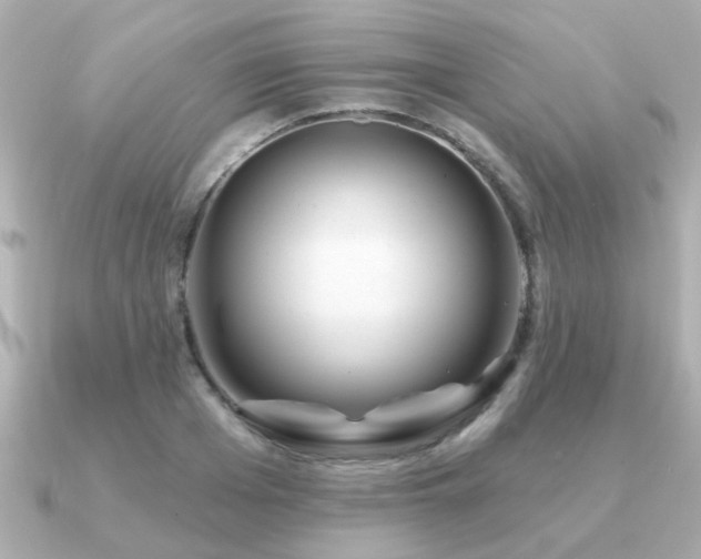 X0000091330985200708101423