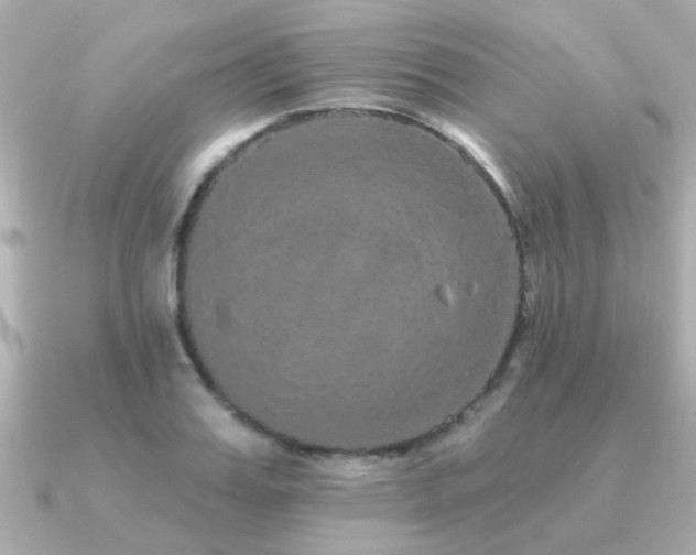 X0000091330987200708101423