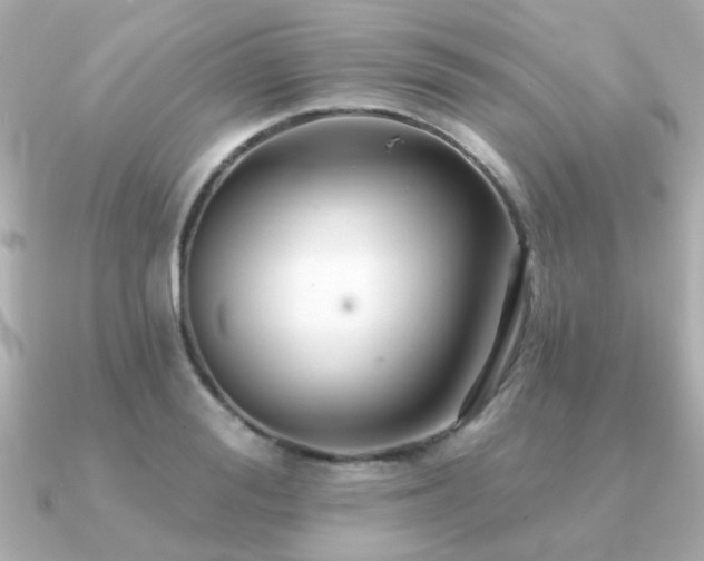 X0000091330988200708101423