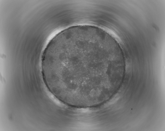 X0000091330990200708101423