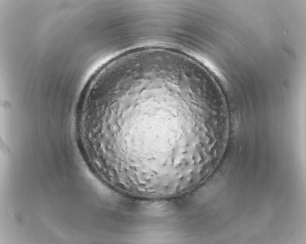 X0000091330991200708101422