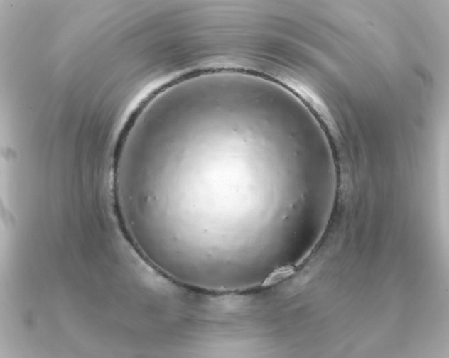 X0000091330992200708101422