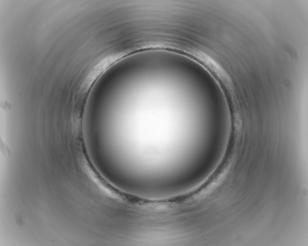 X0000091330993200708101422
