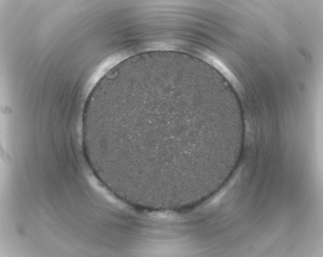 X0000091330994200708101422