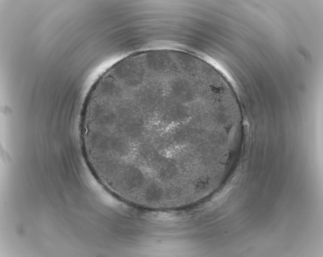 X0000091330995200708101422
