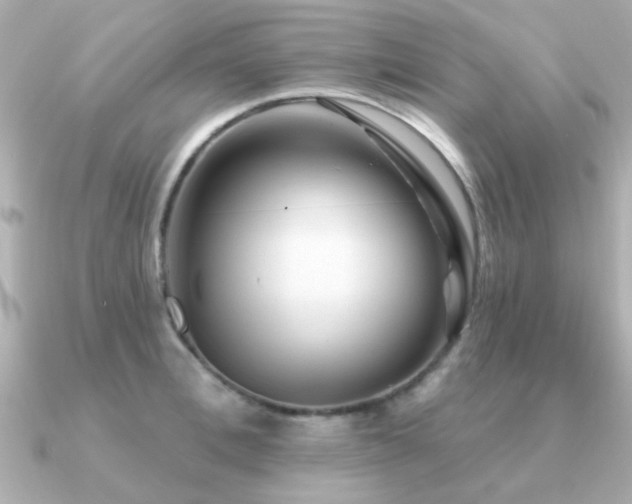 X0000091330996200708101422