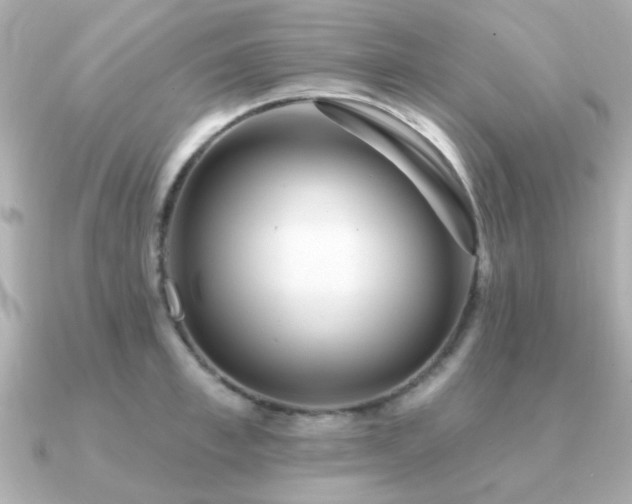 X0000091330997200708101422