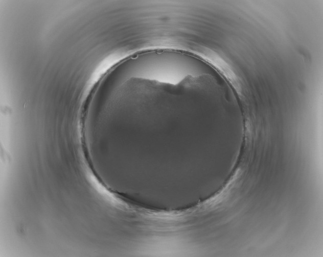 X0000091330998200708101422
