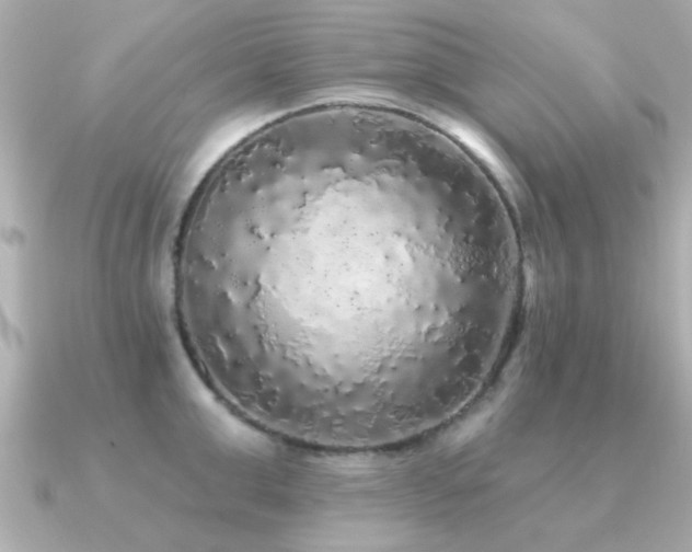 X0000091330999200708101422