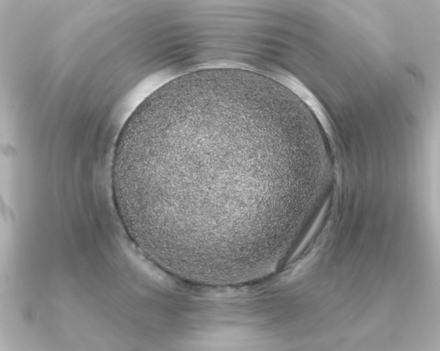 X0000091331002200708101422