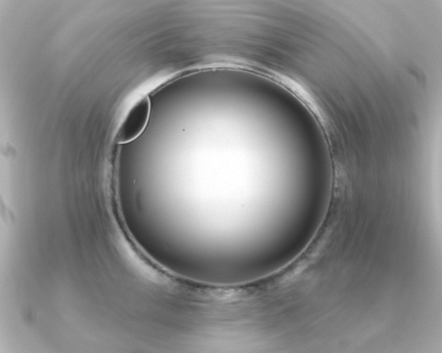 X0000091331003200708101422