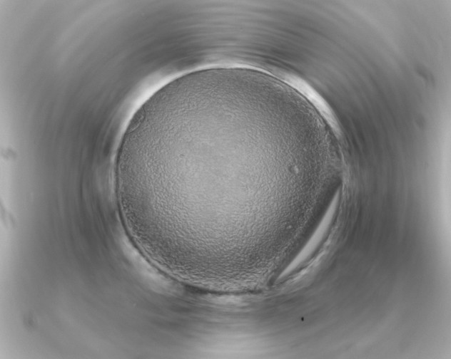 X0000091331004200708101422