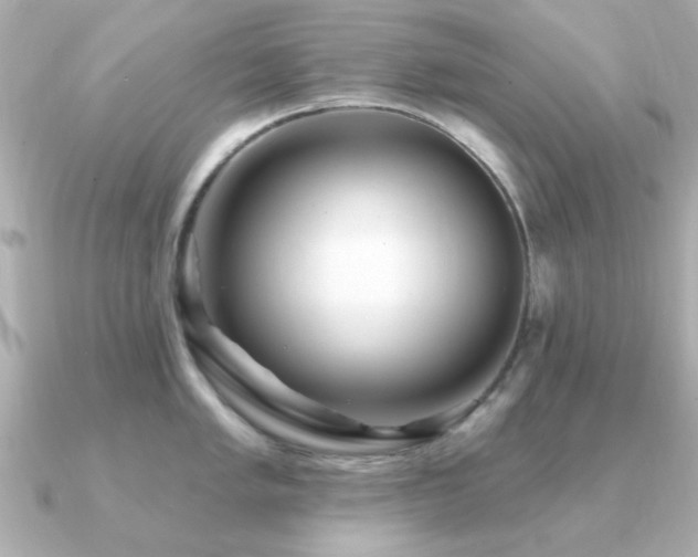 X0000091331005200708101422