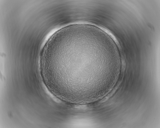 X0000091331006200708101422