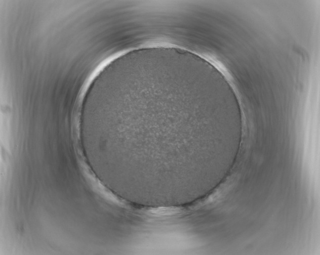 X0000091331008200708101422