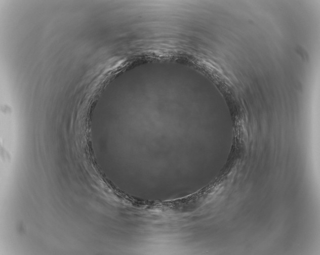 X0000091331009200708101422