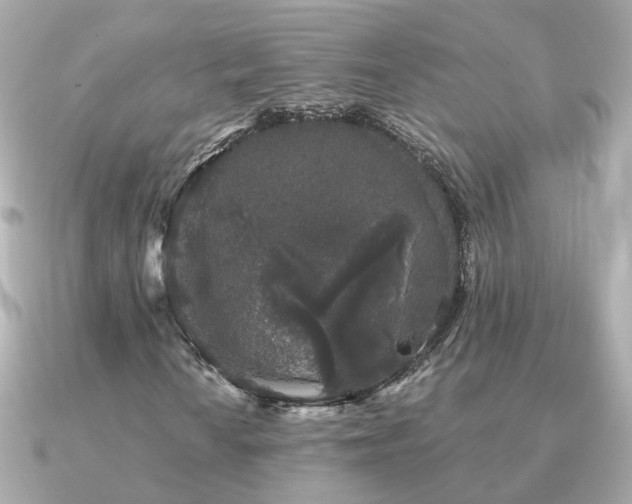 X0000091331010200708101422