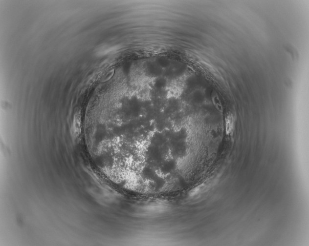 X0000091331011200708101422