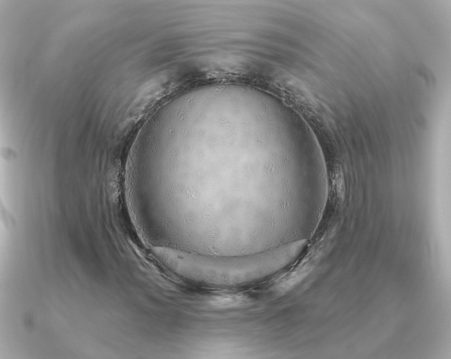 X0000091331012200708101422