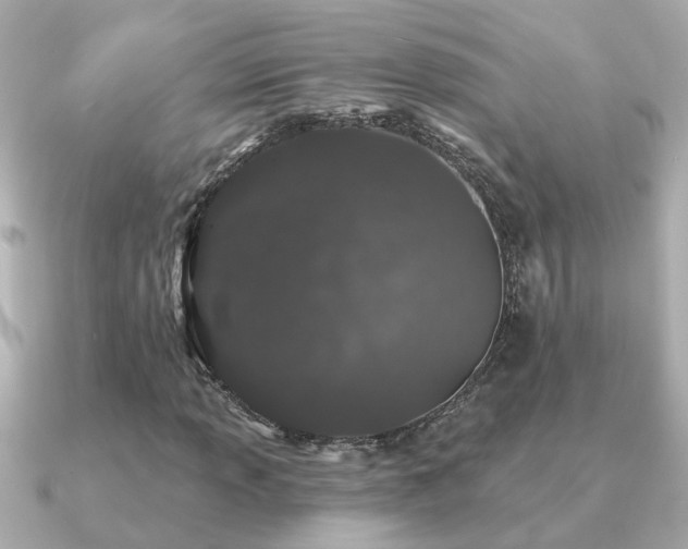 X0000091331013200708101422