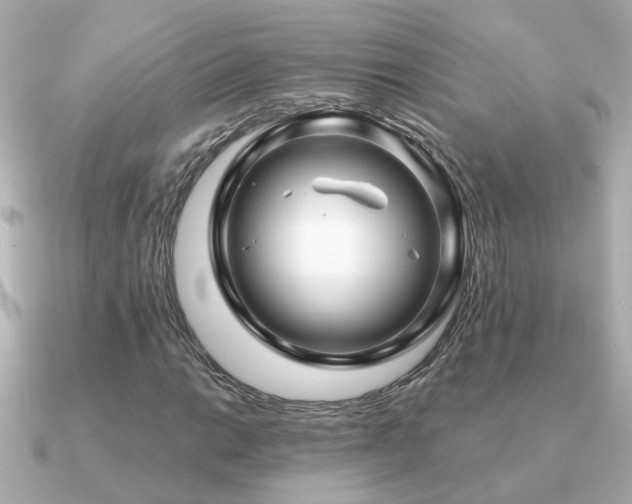 X0000091331014200708101422
