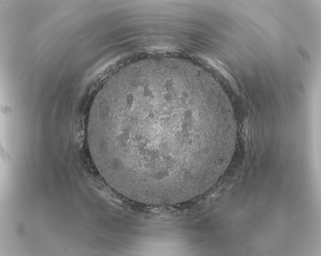 X0000091331015200708101422