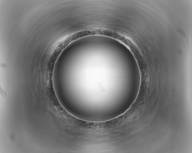 X0000091331016200708101422