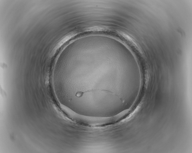 X0000091331017200708101422