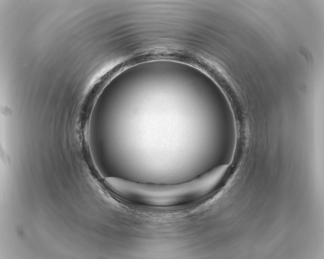 X0000091331018200708101422