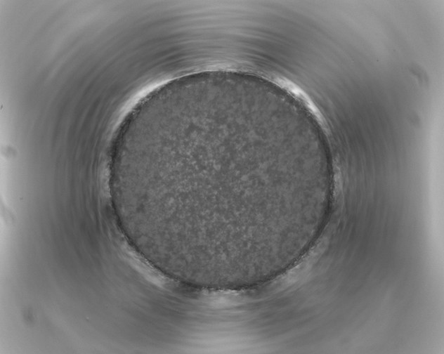 X0000091331019200708101422