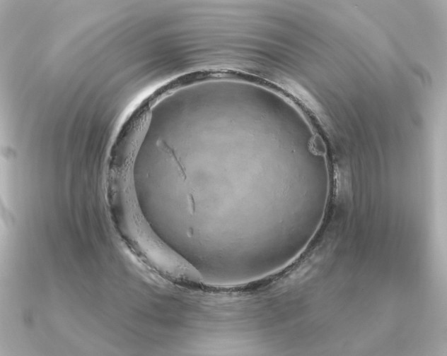 X0000091331020200708101422