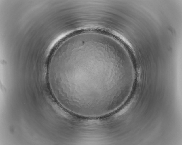 X0000091331021200708101422